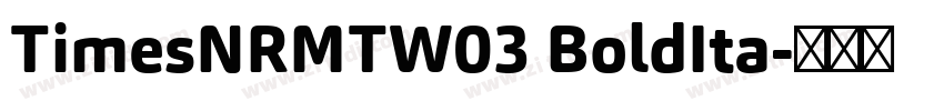 TimesNRMTW03 BoldIta字体转换